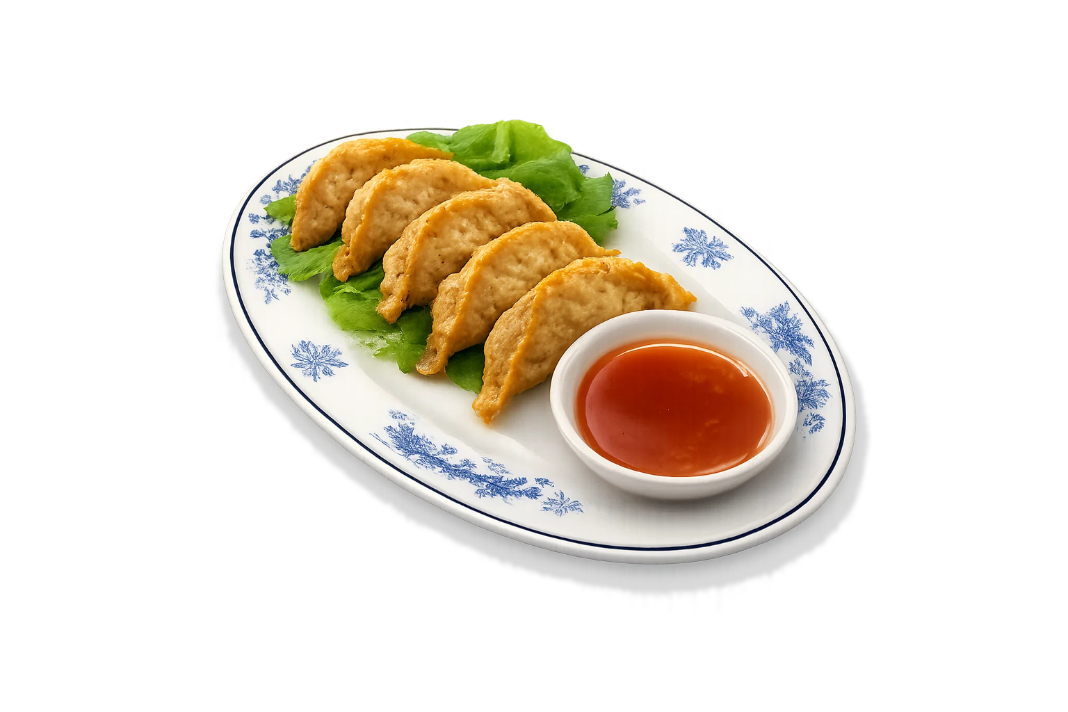 Raviolis aux légumes Boulettes frites végétariennes (5 pièces)