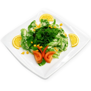 Salade Wakamé 海草沙拉